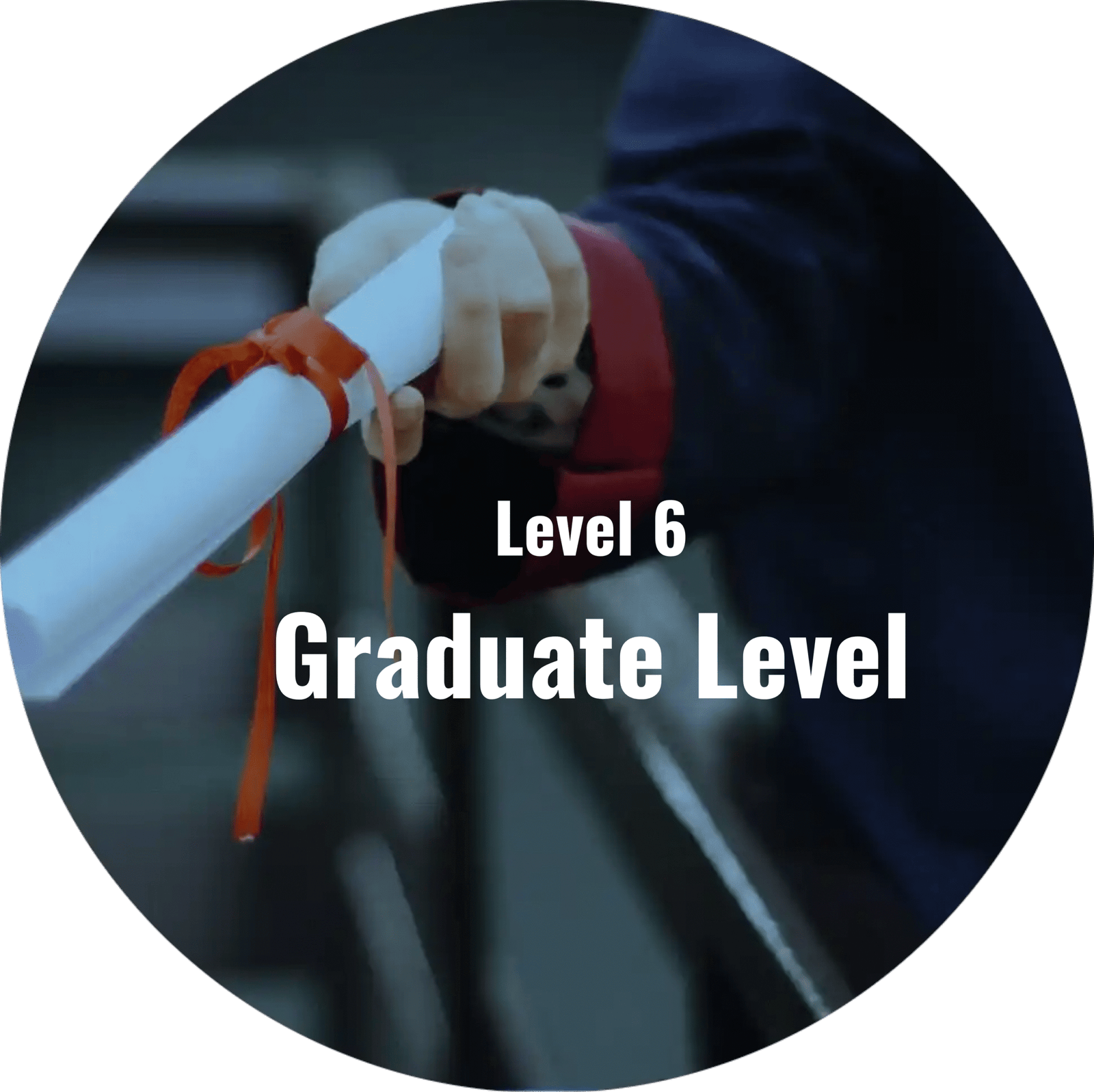 Level 6 Courses