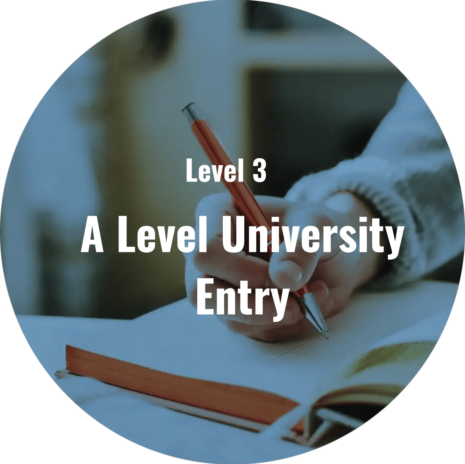 Level 3 A Level University Entry Courses